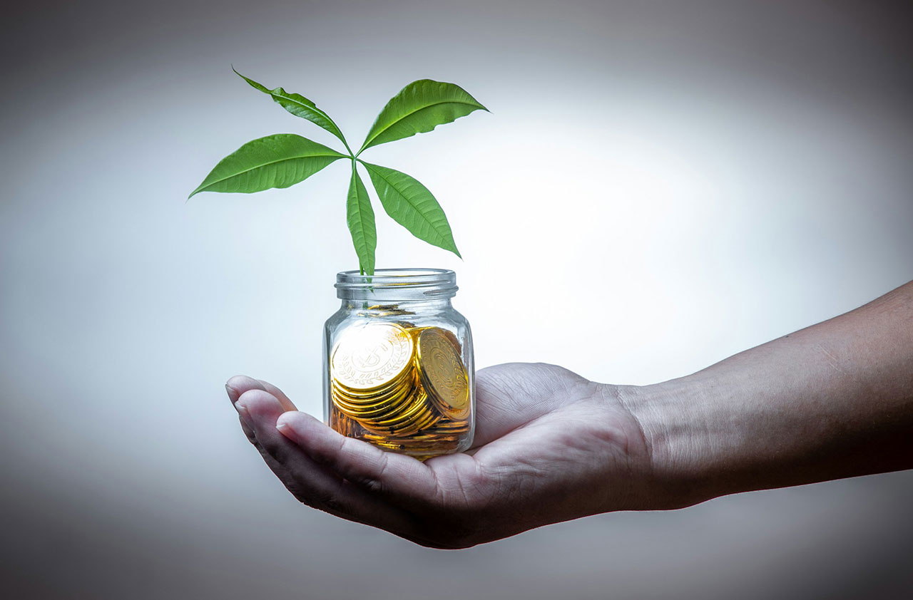 What Annuity Options Are Available?